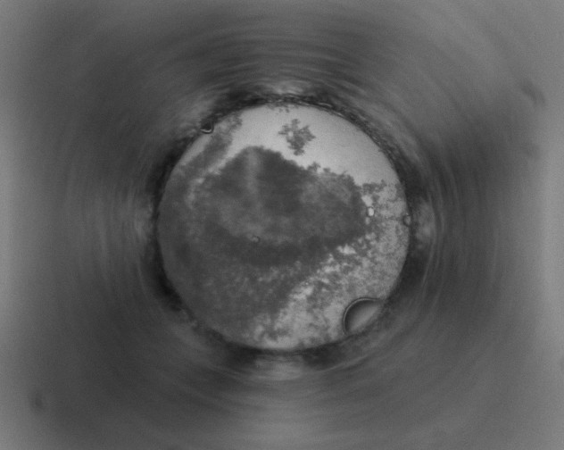 X0000116830559200912312037