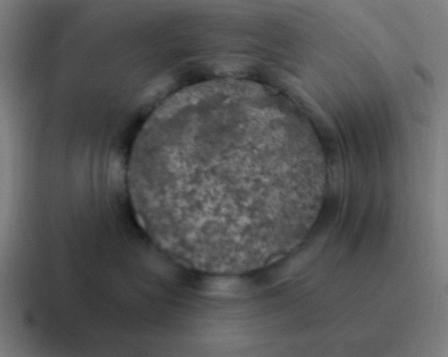 X0000116830575200912312037