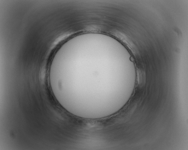 X0000116830579200912312037