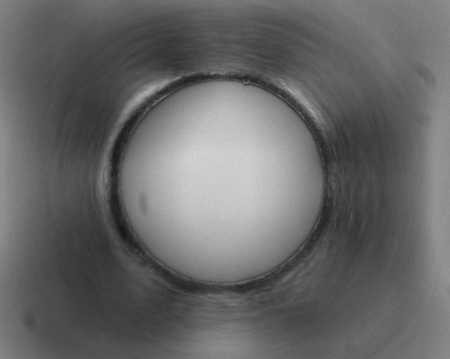 X0000116830583200912312036