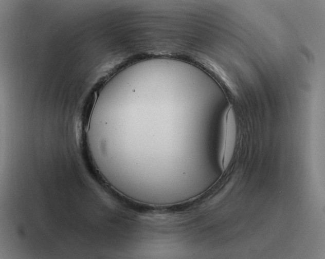 X0000116830589200912312036