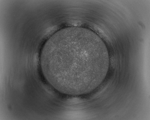 X0000116830594200912312036