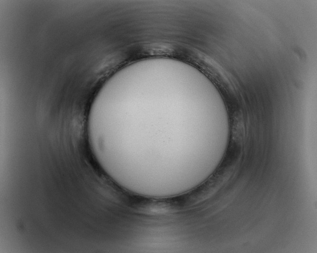 X0000116830604200912312036