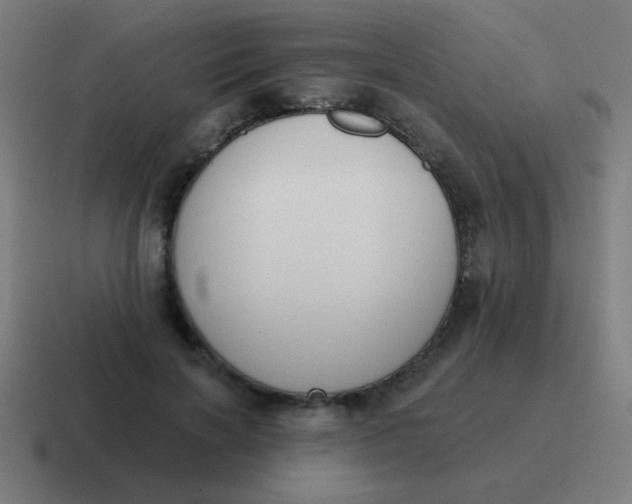 X0000116830646200912312036