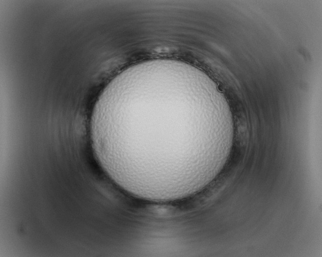 X0000116830654200912312036