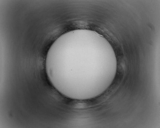 X0000116830658200912312036