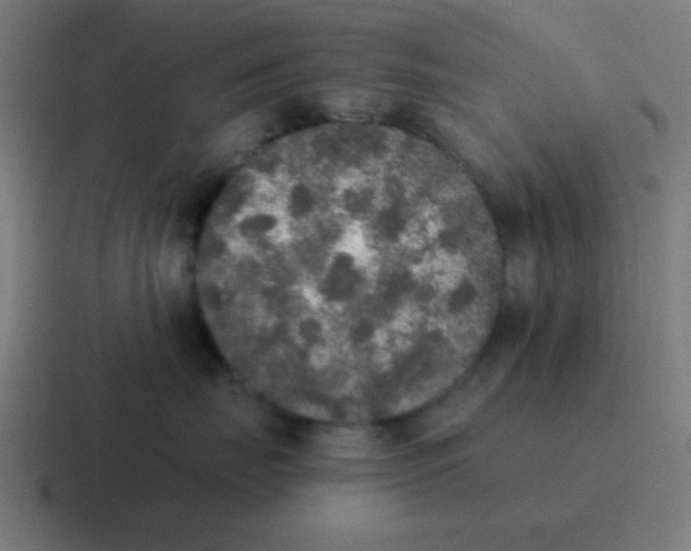 X0000116830671200912312036