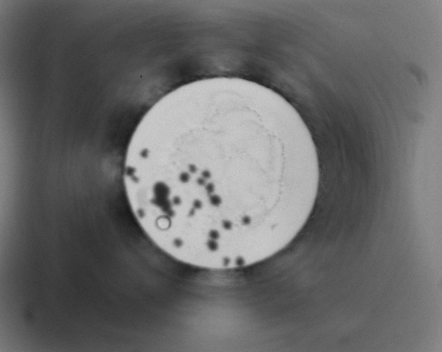 X0000116830672200912312036