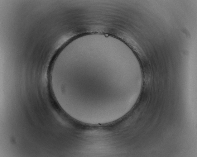 X0000116830674200912312035