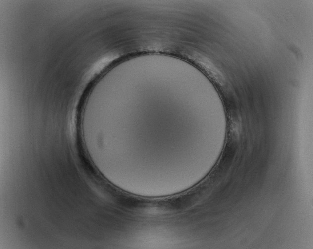 X0000116830678200912312035