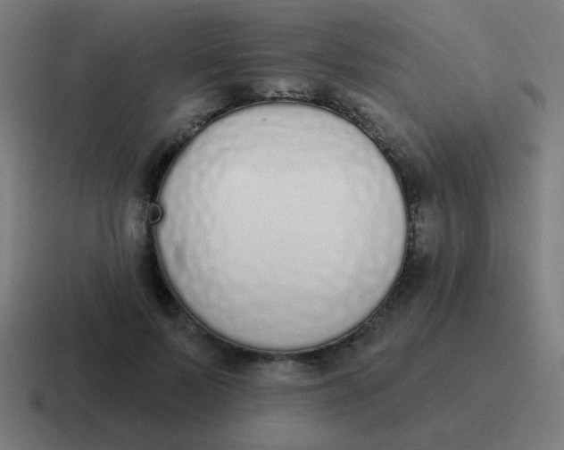 X0000116830695200912312035