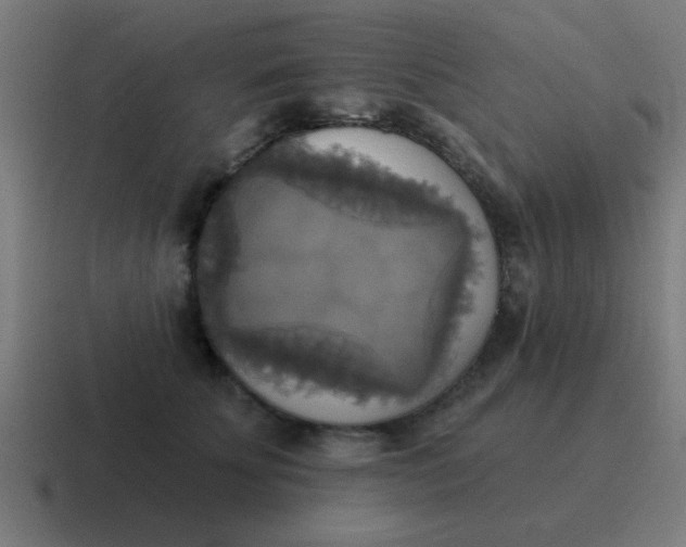 X0000116830707200912312035