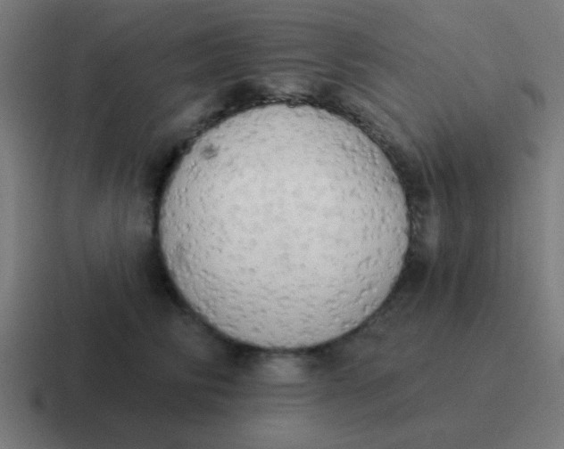 X0000116830710200912312035