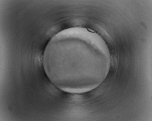 X0000116830718200912312035