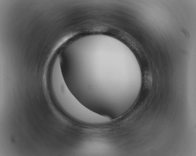 X0000116830726200912312034