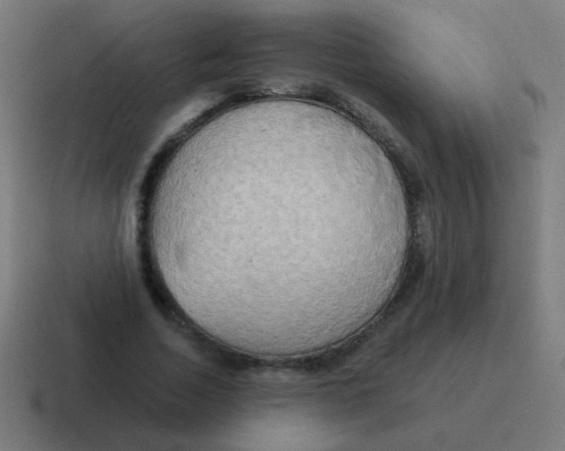 X0000116830730200912312034
