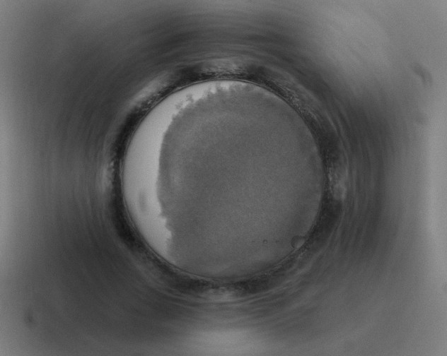 X0000116830735200912312034