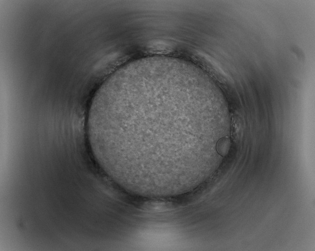 X0000116830745200912312034
