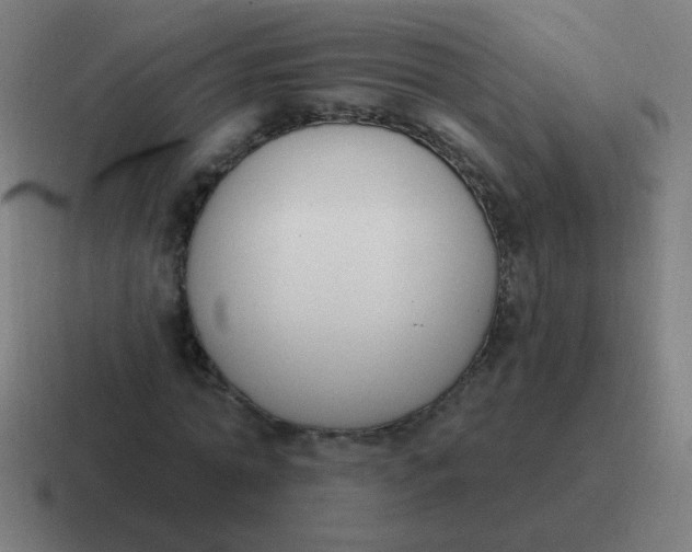X0000116830774200912312034