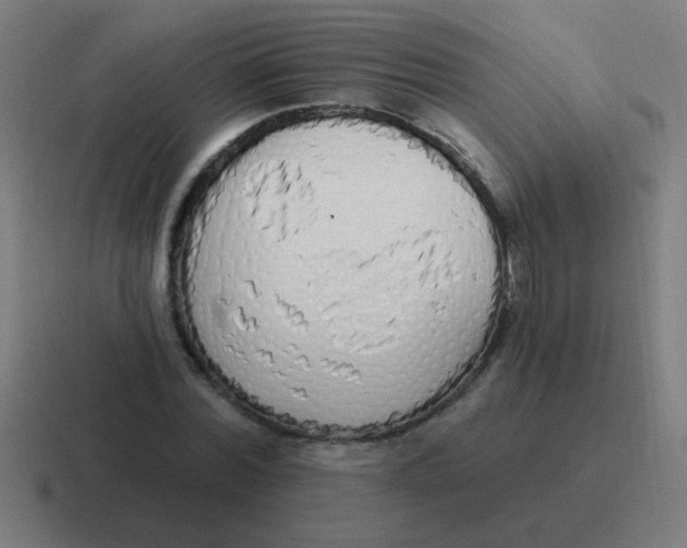 X0000116830780200912312034