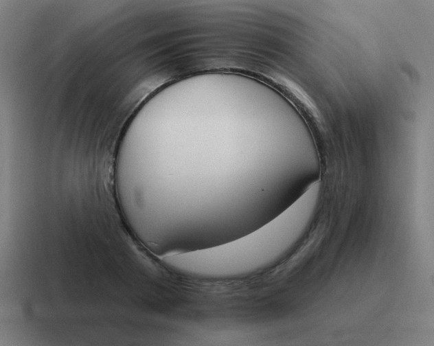 X0000116830793200912312034
