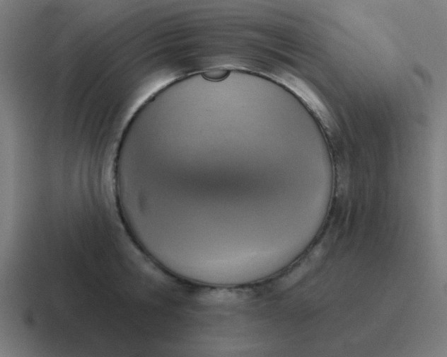 X0000116830806200912312034