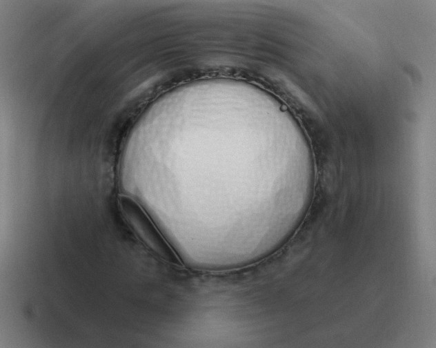 X0000116830821200912312033