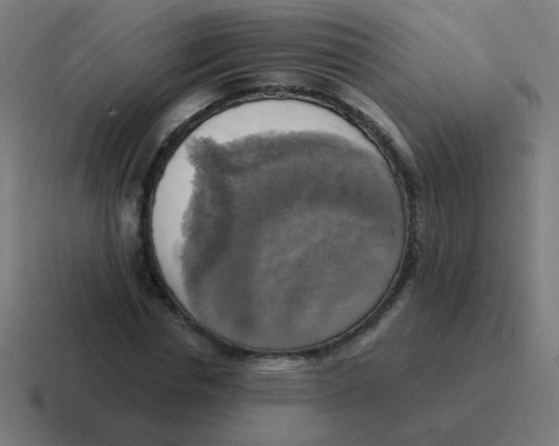 X0000116830826200912312033