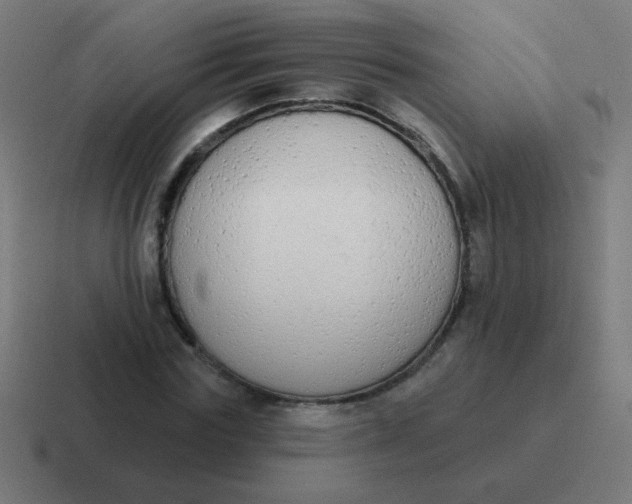 X0000116830827200912312033