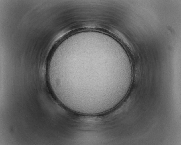 X0000116830831200912312033