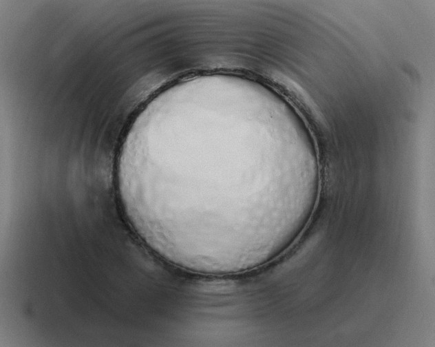 X0000116830833200912312033