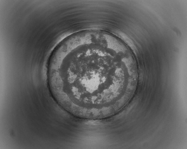 X0000116830835200912312033