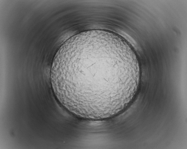 X0000116830849200912312033