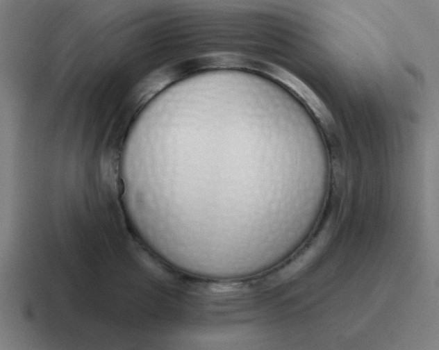 X0000116830857200912312033
