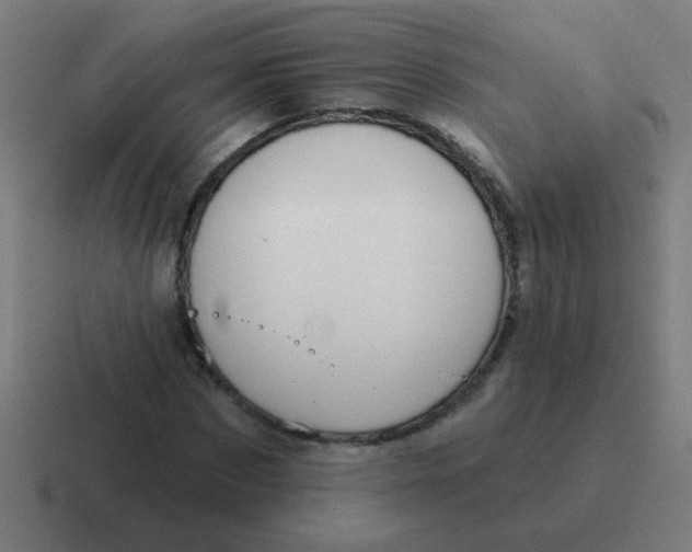 X0000116830873200912312033