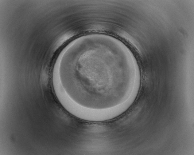 X0000116830874200912312033