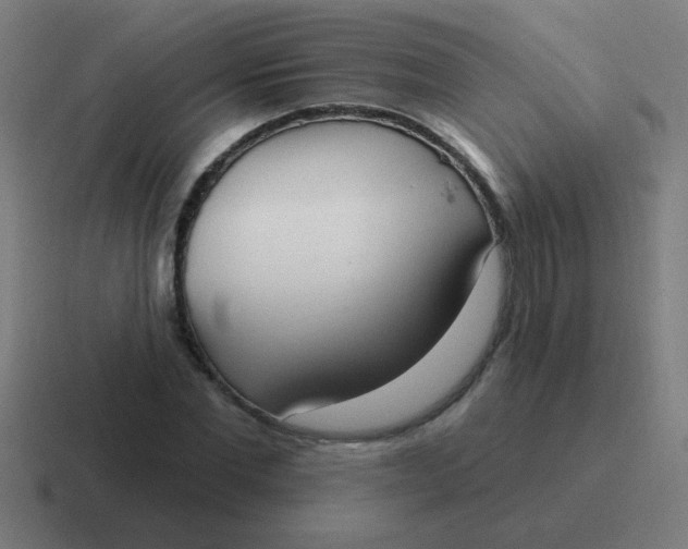 X0000116830877200912312033