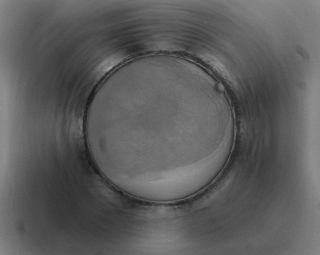 X0000116830881200912312033