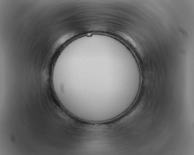 X0000116830922200912312032