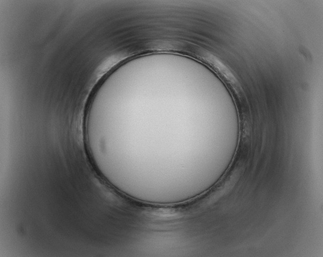 X0000116830986200912312031