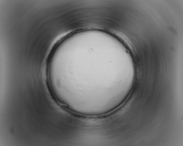 X0000116830987200912312031