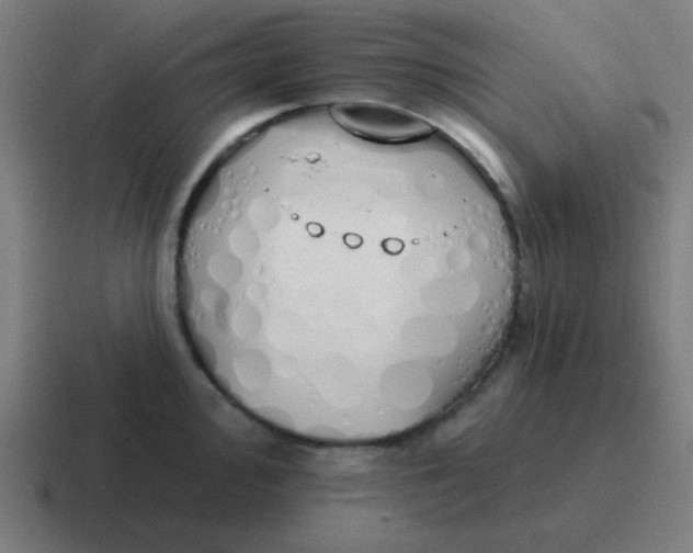 X0000116831000200912312031