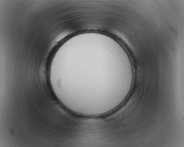 X0000116831018200912312031