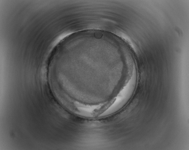 X0000116831019200912312031