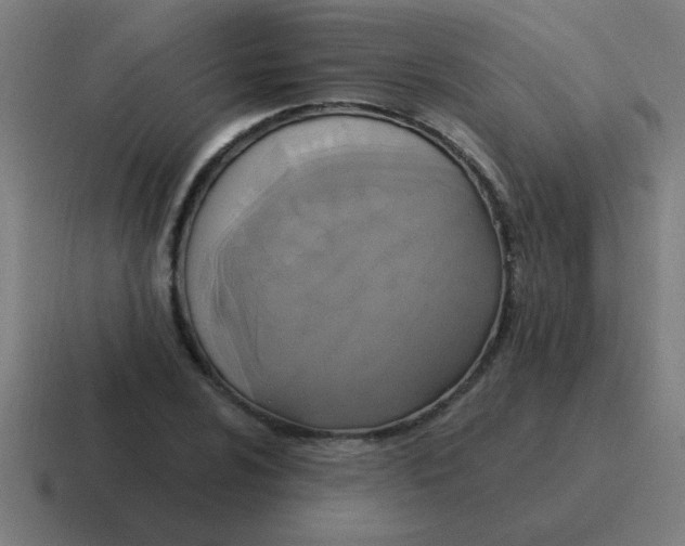X0000116831024200912312031
