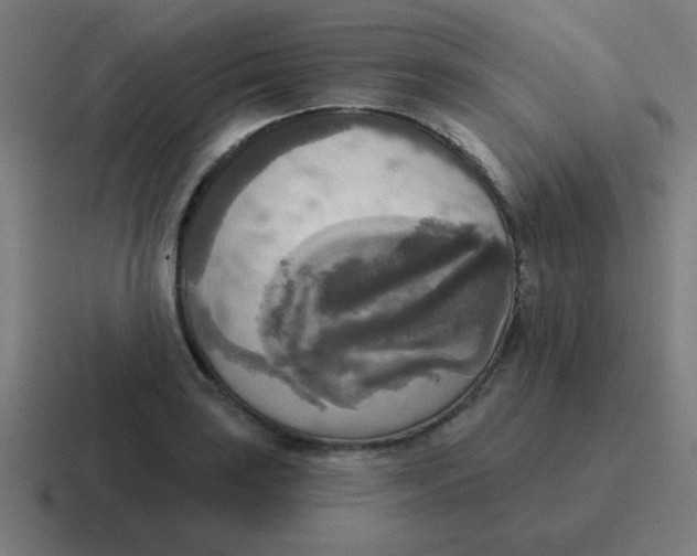X0000116831035200912312031