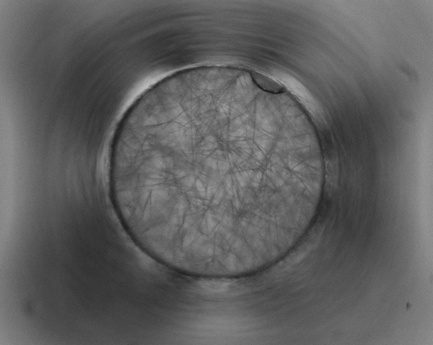 X0000116831046200912312031