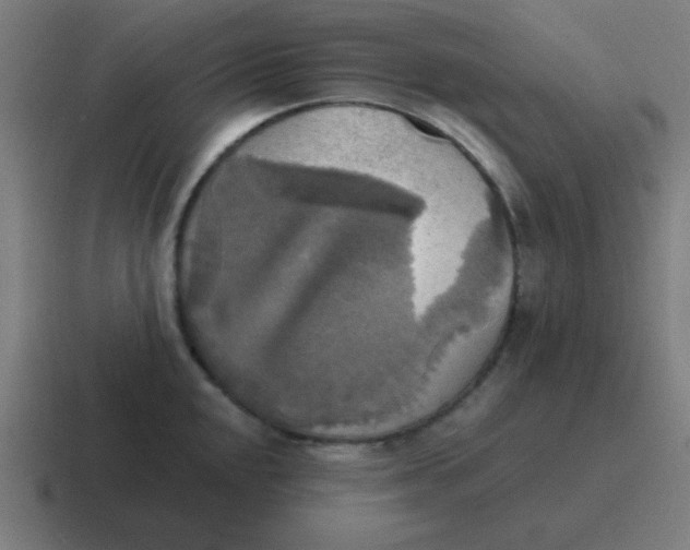 X0000116831048200912312031