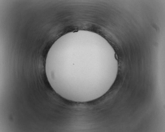 X0000116831058200912312031