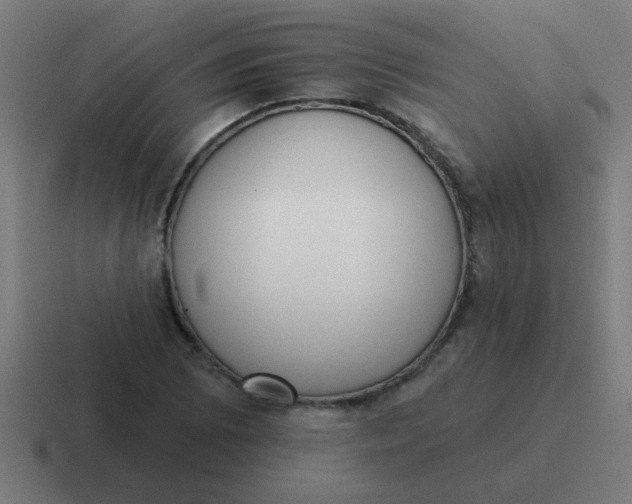 X0000116831073200912312030